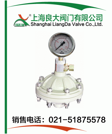 PP、PVDF脈沖阻尼器